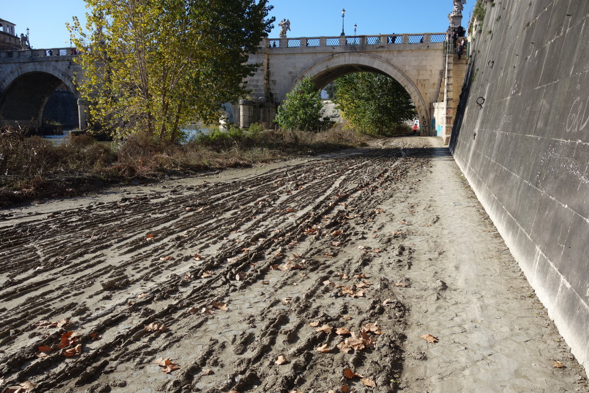 11 12 2019-Melma-P C Tevere dopo la pioggia-manutenzione assente-Roma FILEminimizer