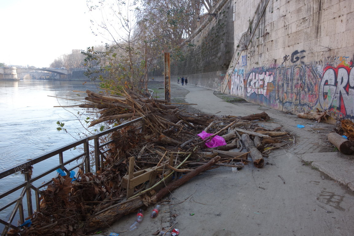 1 1 2020-Tronchi tra ponte sisto e garibaldi-PC Tevere centro 4 FILEminimizer